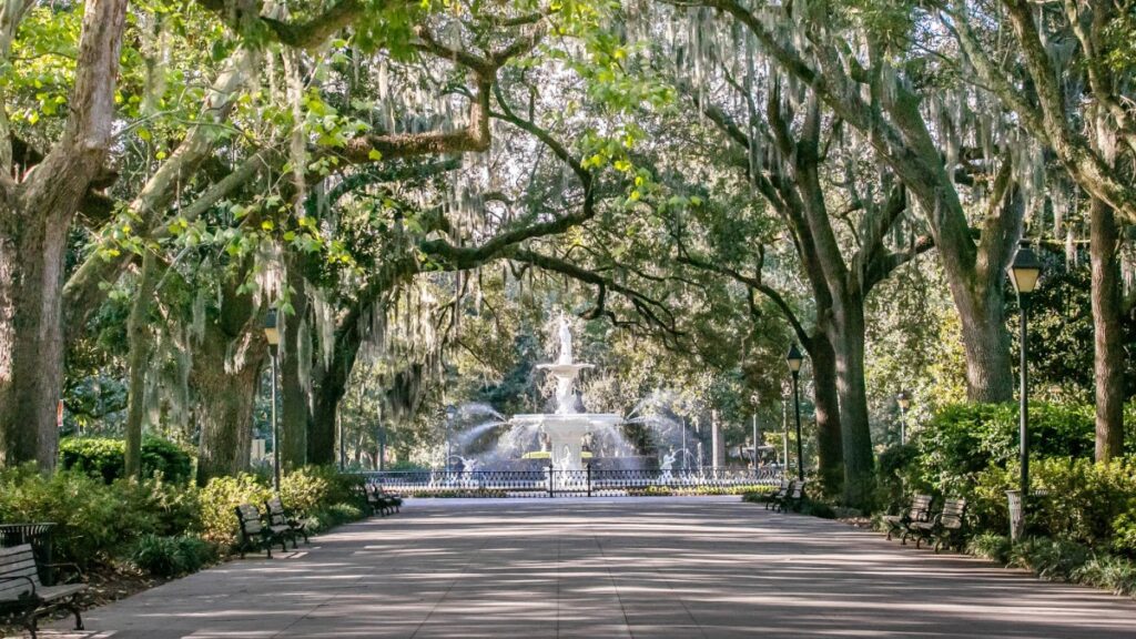 Radiologists in Savannah, Pooler, and Hilton Head Island